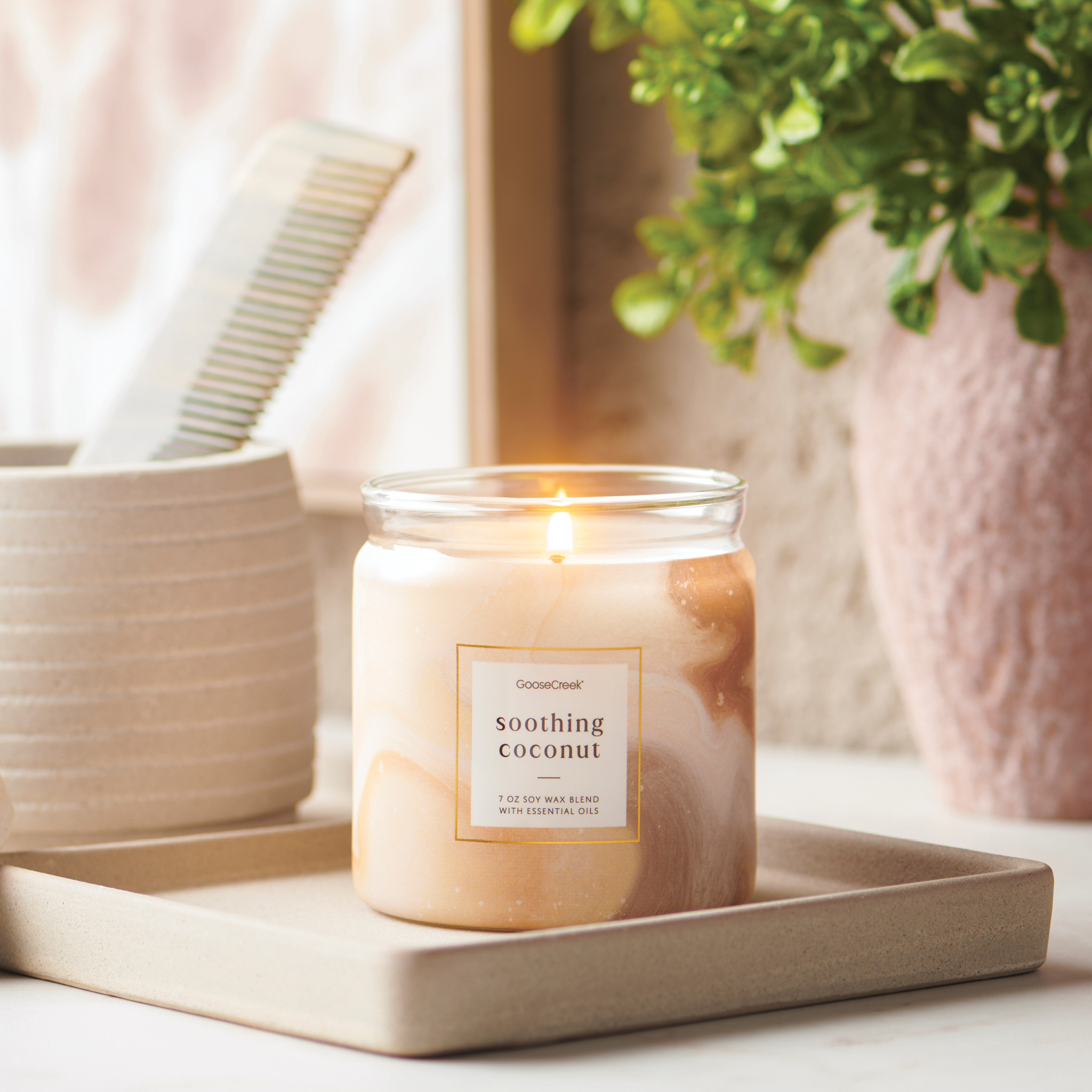 Clean Scents, Lasting Memories